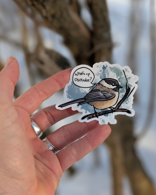 Hand holding a “What’s up chickadee?” vinyl sticker outdoors in a winter setting.