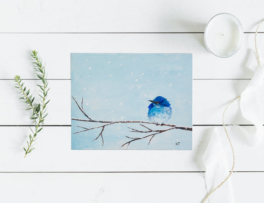 Mountain Blue Bird - Fine Art Note Card