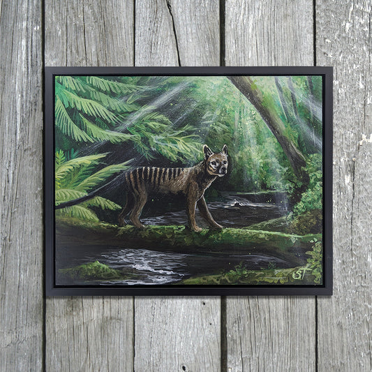 Framed original painting of a thylacine standing on a mossy log beside a forest stream, with green foliage and dappled light, shown in a black frame against weathered gray wooden boards .