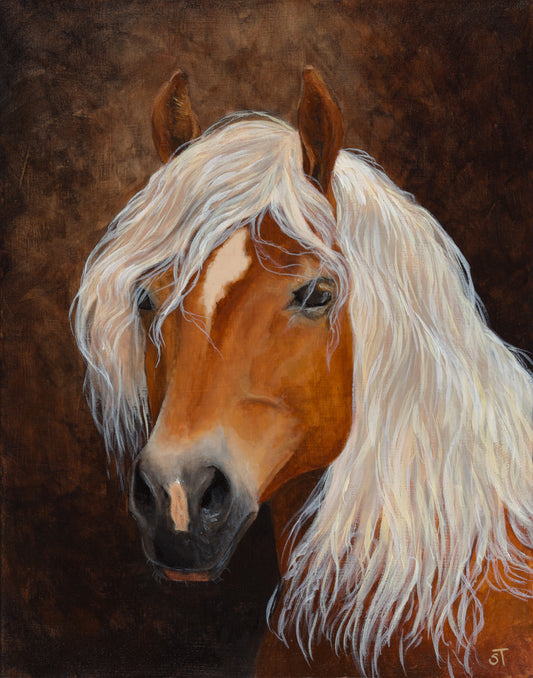 Fabio Horse Art Print - Non-Archival Fine Art Prints - Wall Art
