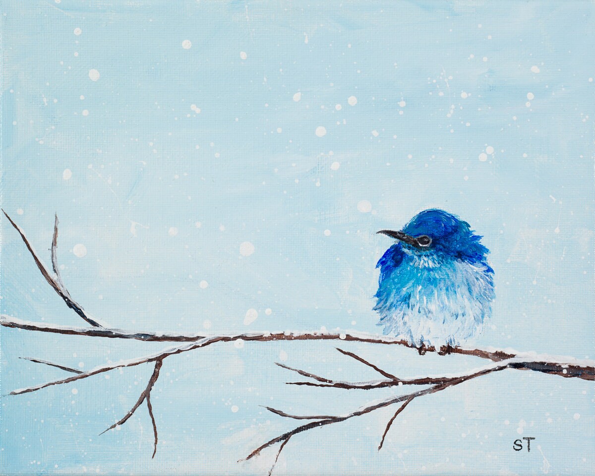 Mountain Blue Bird Painting Print - Non-Archival Fine Art Prints - Wall Art