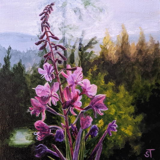 Sunrise on Weston Pass Art Print - Non-Archival Fine Art Prints - Wall Art