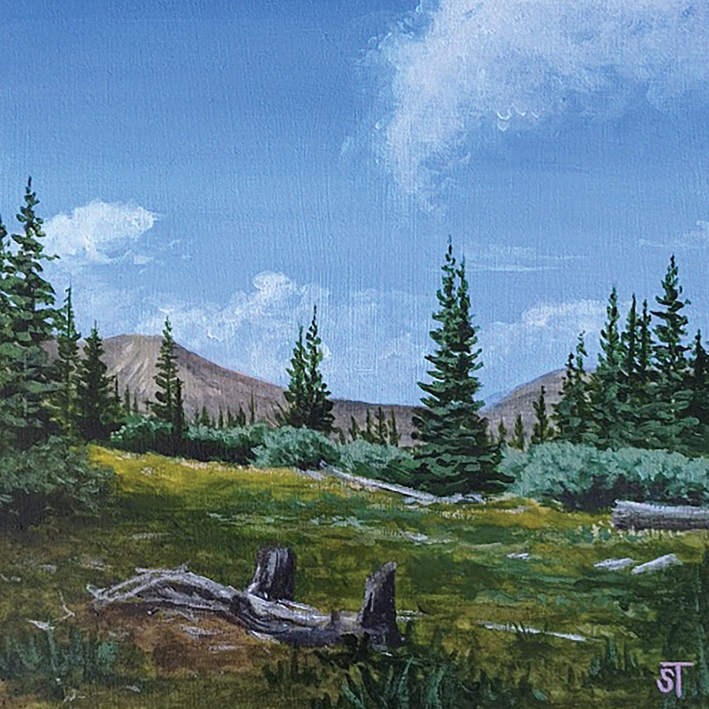Top of 14 Art Print - Non-Archival Fine Art Prints - Wall Art
