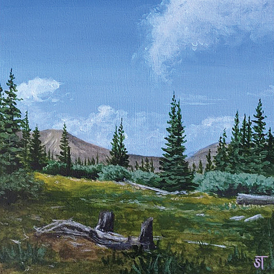 Top of 14 Art Print - Non-Archival Fine Art Prints - Wall Art