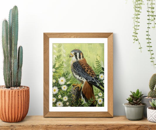 American Kestrel Art Print - Fine Art Print - Wall Art