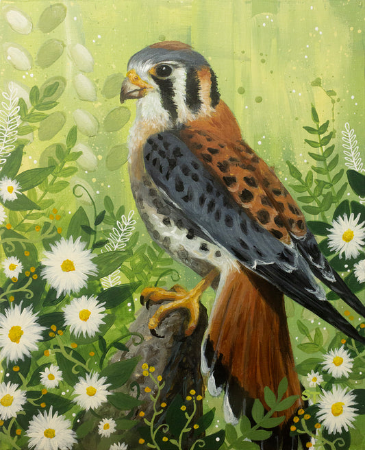 American Kestrel Greeting Card - Fine Art Note Card