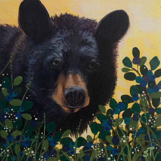 Black Bear - Fine Art Note Card - Greeting Cards