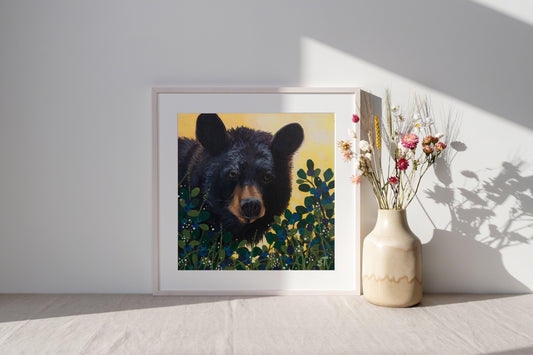 Black Bear - Fine Art Prints - Wall Art