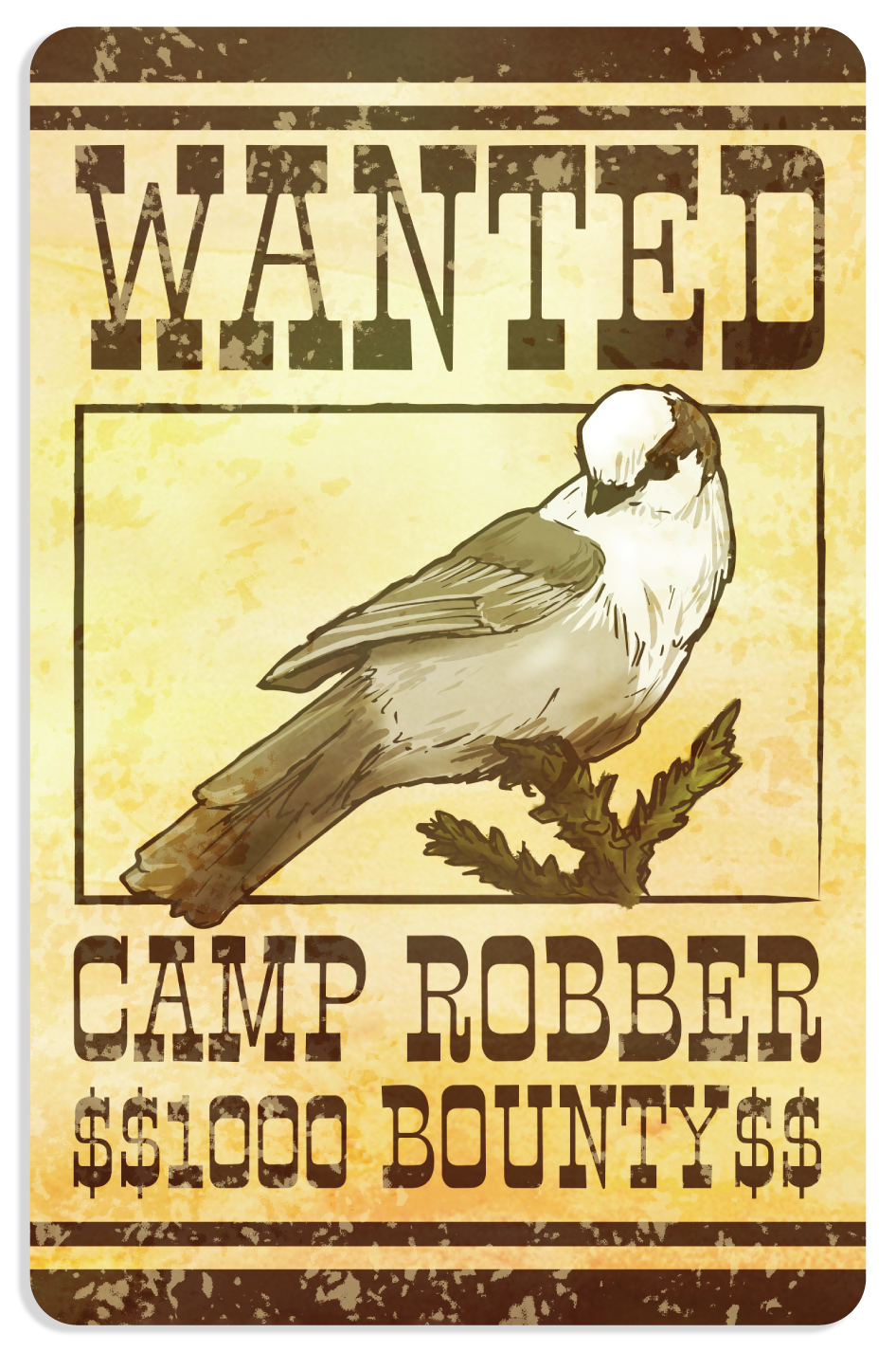 Camp Robber Sticker - Gray Jay or Canada Jay Decal