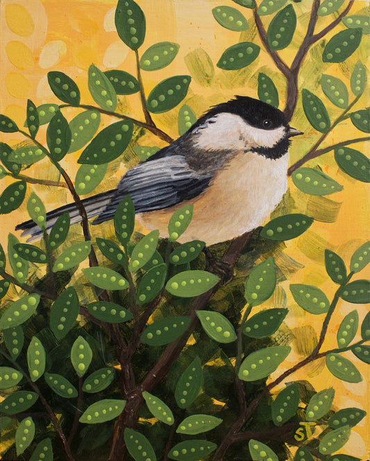 Chickadee Greeting Card - Fine Art Note Card