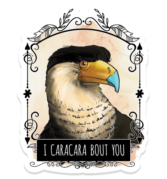 I Caracara Bout You Sticker - Vinyl Decal