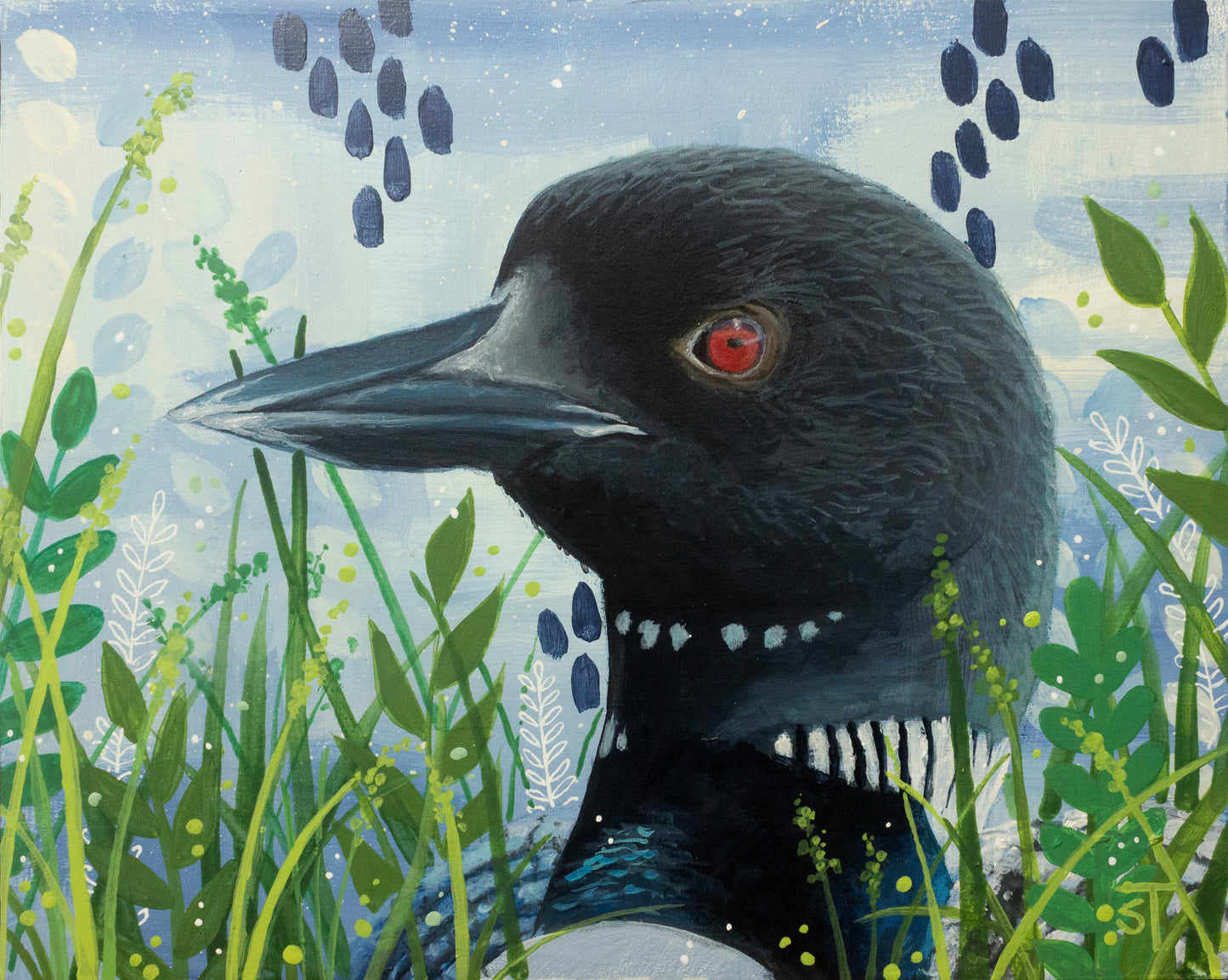 Loon Art Print - Fine Art Print - Wall Art
