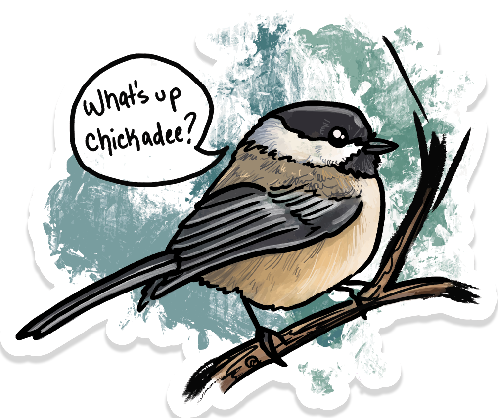 Illustrated chickadee vinyl sticker perched on a branch with a speech bubble reading “What’s up chickadee?”
