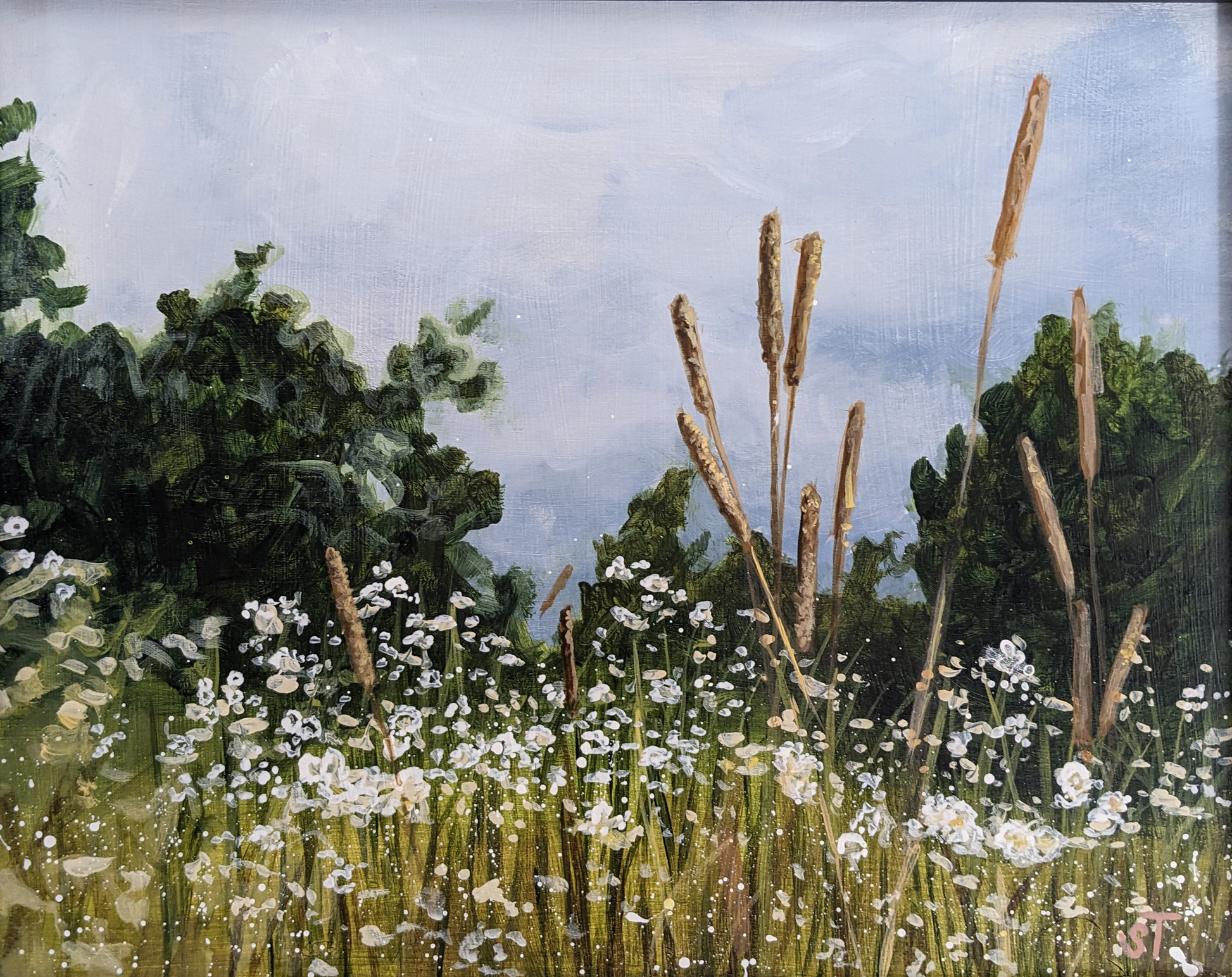 Original acrylic Mainecore artwork featuring a field of flowers and timothy grass against a brooding gray sky.