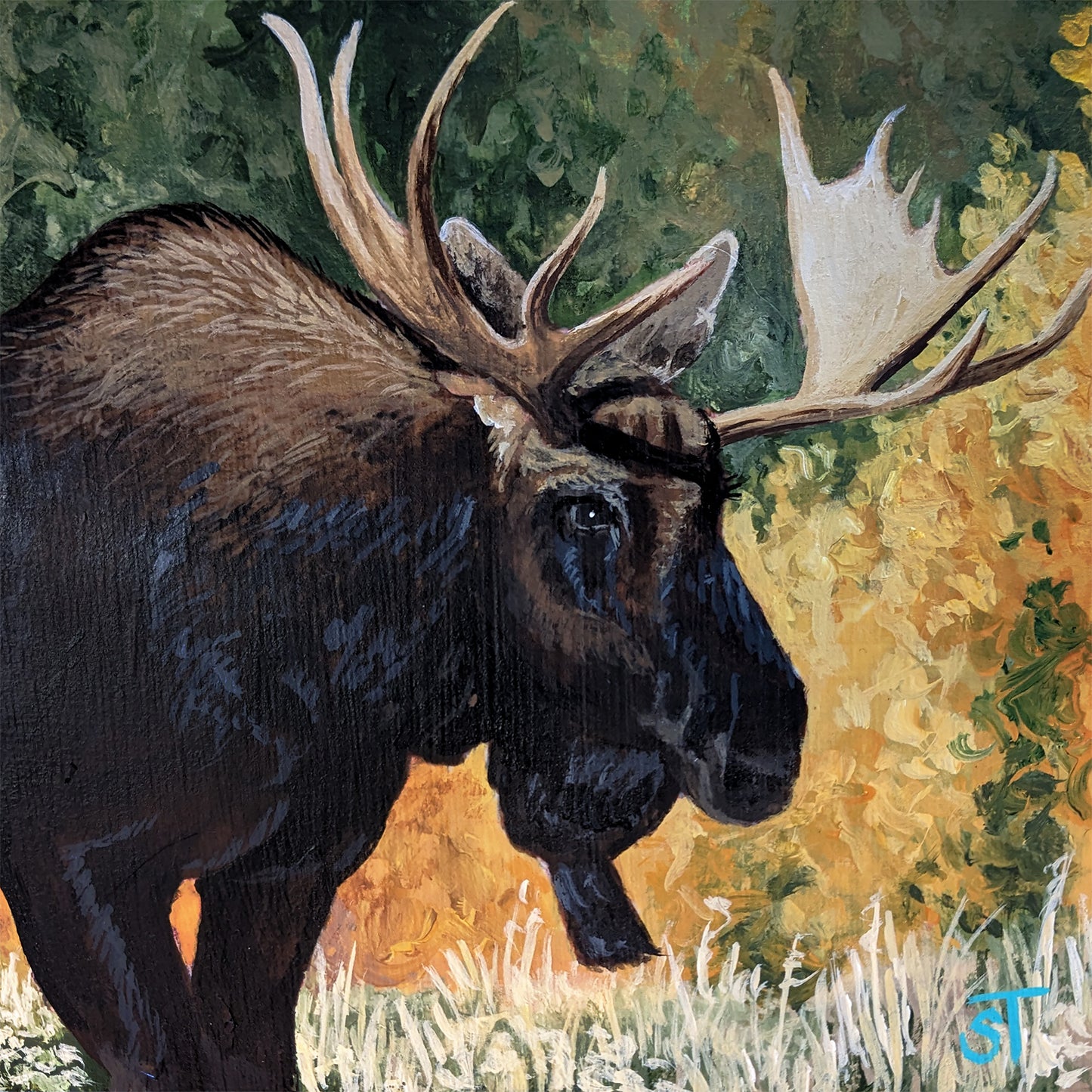 Bull Moose Greeting Card - Fine Art Note Card