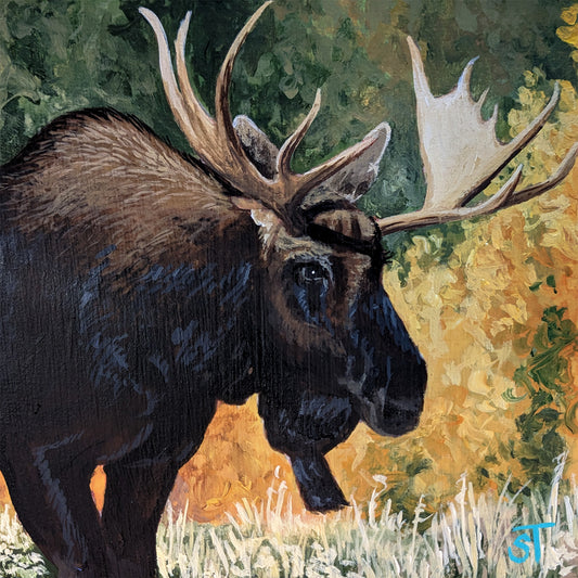 Bull Moose Fine Art Print - Wall Art