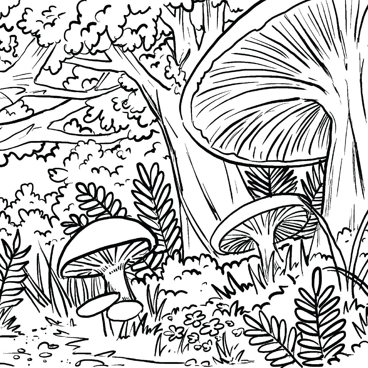 Black and white illustration of a forest scene with mushrooms and foliage