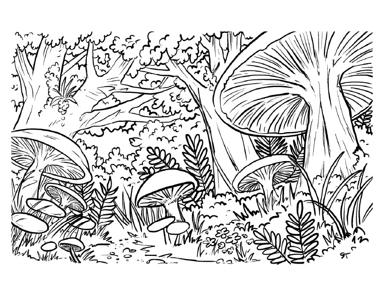 Black and white line drawing of a forest scene with mushrooms and foliage