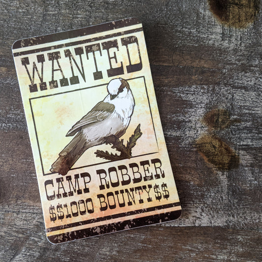 Camp Robber Sticker - Gray Jay or Canada Jay Decal