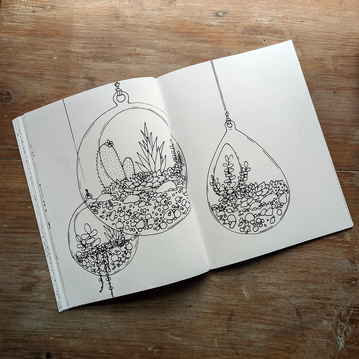 Sample interior coloring book spread featuring hanging glass terrariums filled with plants and stones.