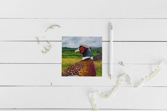 Ring-necked Pheasant Greeting Card - Non-Archival Fine Art Prints - Note Card