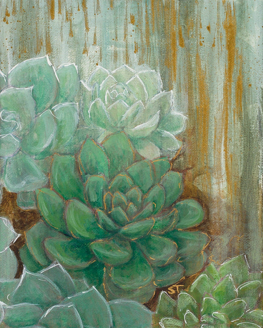 Green echeveria succulents painted in layered acrylic with soft white highlights against a textured, weathered background.
